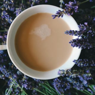 Little Provence Café Latte